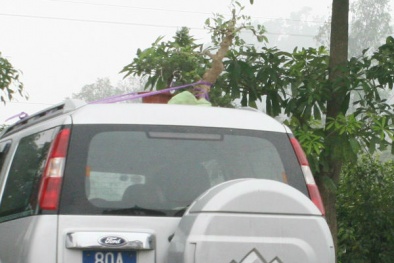 Cứ nhìn xe công đi lễ thì biết công chức “cắp ô” là ai?