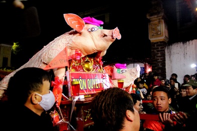 Về La Phù  tham gia “rước lợn” cầu may