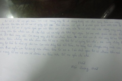 Nội dung bức tâm thư của bảo vệ giúp bác sỹ Nguyễn Mạnh Tường ném xác phi tang