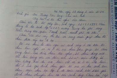 Học sinh bị đình chỉ học viết tâm thư cầu cứu Chủ tịch nước