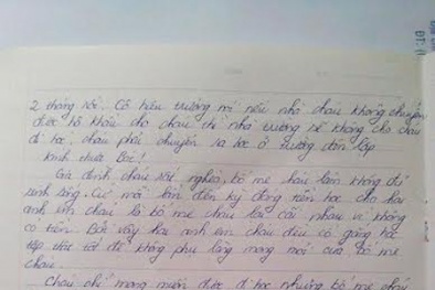 Toàn văn bức thư học sinh bị đình chỉ học vì không có hộ khẩu Hà Nội gửi Chủ tịch nước 