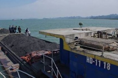 Cảnh sát biển bắt giữ gần 800 tấn than vận chuyển trái phép