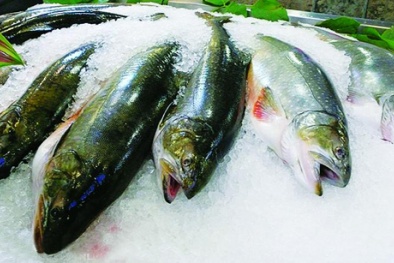 Cách chọn mua thực phẩm đông lạnh 