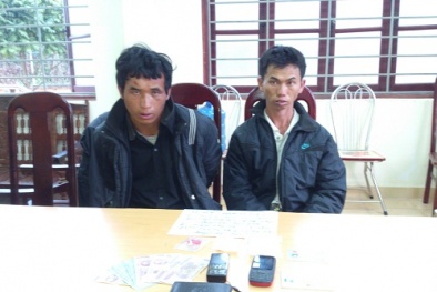 Chặt đứt đường dây buôn ma túy từ Lào về Việt Nam