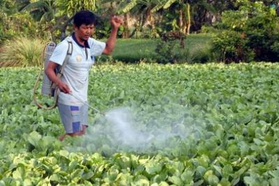  Cách phòng trừ nhiễm thuốc bảo vệ thực vật