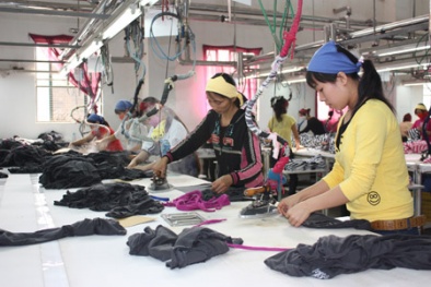 Cử nhân giấu bằng xin làm... công nhân