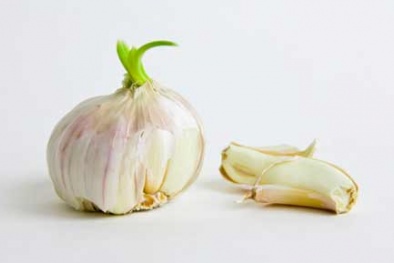  Tỏi cũ mọc mầm - Đừng vứt!