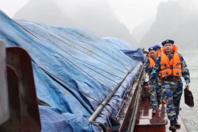 Bắt giữ  trên 900 tấn than cám không rõ nguồn gốc