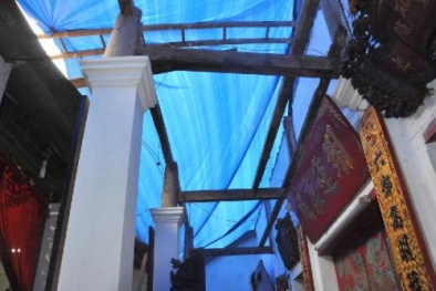 Cả gan dỡ mái đình bán gỗ sưa: Không sợ quả báo?