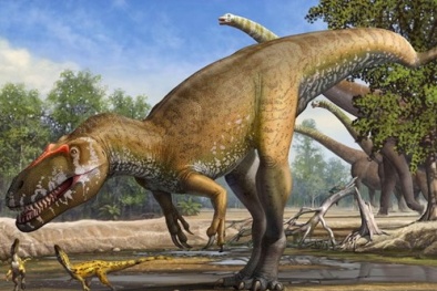 Phát hiện hóa thạch khủng long to lớn nhất trước nay