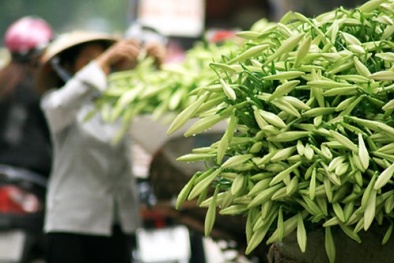 Miền Bắc sắp đón không khí lạnh tăng cường