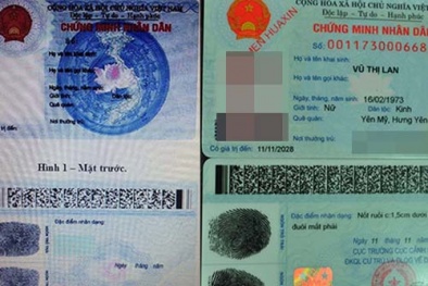 Sao nhiều loại thẻ thế ?