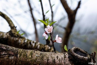 Miền Bắc trở rét, miền Nam nắng nóng 38 độ