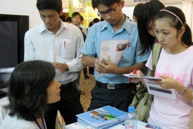 Giám đốc doanh nghiệp lận đận tìm việc