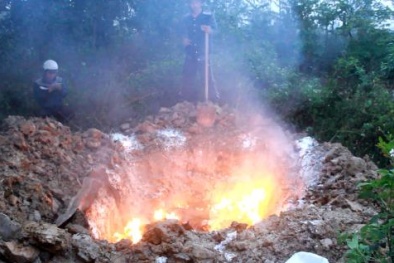 Trung Quốc 'giúp' nuôi gián đất: Sao cấp phép rồi lại đốt?