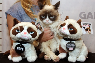 Thu hồi mèo nhồi bông gây ngạt cho trẻ