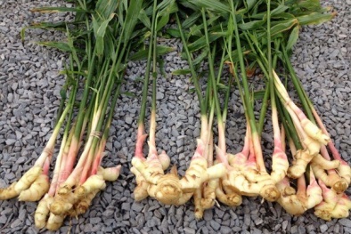 7 loại thực phẩm rẻ tiền chống ung thư