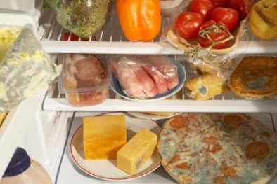 Ngộ độc do dùng tủ lạnh không đúng cách