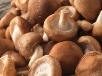  Nấm có thể phòng ngừa ung thư cổ tử cung?