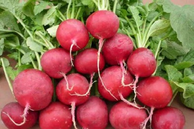 Những lợi ích sức khỏe của củ cải