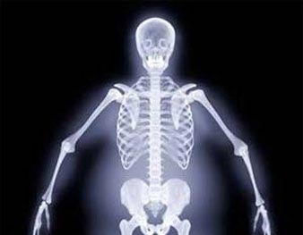 Cơ thể con người có đối xứng không?