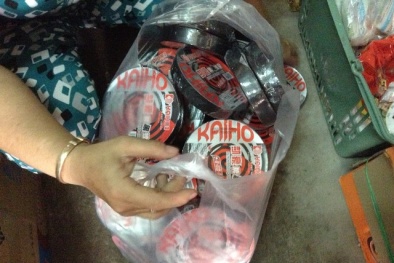 'Hương muỗi Trung Quốc' - diệt muỗi hại người