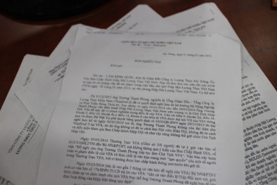 Chủ tịch hiệp hội lương thực Việt Nam không xứng tầm lãnh đạo?