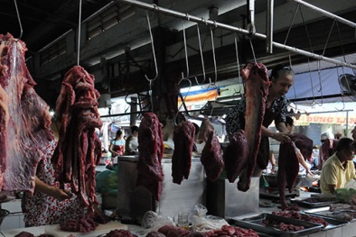 Loạn giá Bò Úc