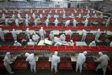 Thịt lợn Mỹ lao đao trên thị trường Trung Quốc