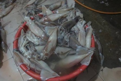 Hải sản ngâm hóa chất: Nhìn thấy liệu có dám ăn?