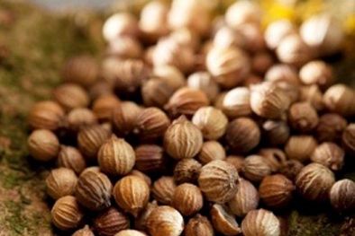 Hạt mùi khô đắt hàng do dịch sởi bùng phát