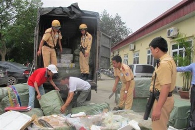 Phát hiện cá Trắm thối đang tuồn vào Hà Nội