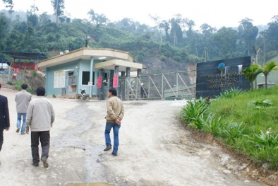 Vì sao nhà máy vàng lớn nhất nước ngừng hoạt động?