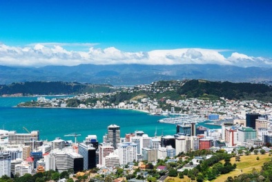 Bài học từ nâng cao năng suất chất lượng ở New Zealand