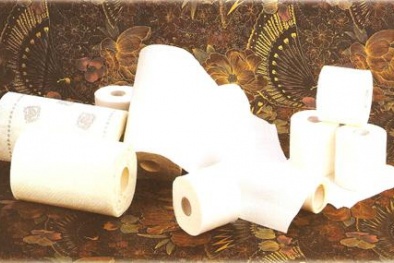 Giấy vệ sinh mối nguy cơ tiềm ẩn cho 'vùng kín' của chị em 