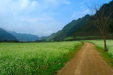 Du lịch Mộc Châu ăn gì, ở đâu?