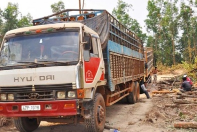 Giám đốc Công an tỉnh Đắk Nông bị tố bảo kê rừng tranh chấp