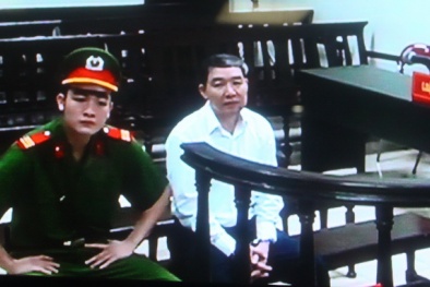 Luật sư bào chữa Dương Chí Dũng 'giở võ', 'lính' xin tha tội cho sếp