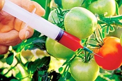 5 độc tố phổ biến nhất phá hủy cơ thể con người