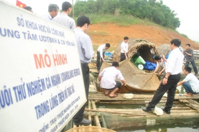Khoa học và công nghệ giúp Yên Bái phát triển bền vững