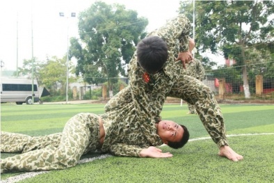 Huy động lực lượng 'quân đội đặc biệt' bảo vệ kỷ niệm Điện biên phủ