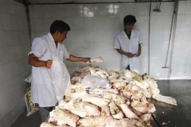 Kinh hoàng giả cầy được chế biến từ chân giò thối