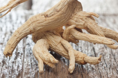 Chiết xuất nhân sâm chống nhiều chủng virus cúm