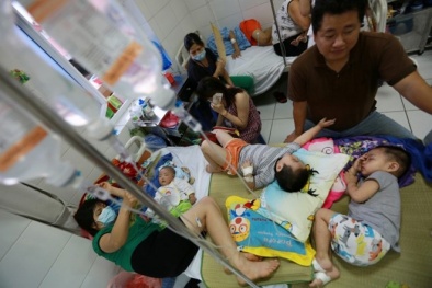 Sau “bão” sởi sẽ là siêu bão” viêm não Nhật Bản