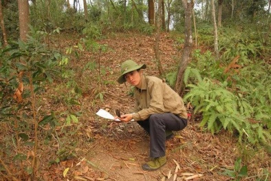 Lịch sử trong mắt ai: Dân mạng có phải chỉ 'chém gió' lịch sử?