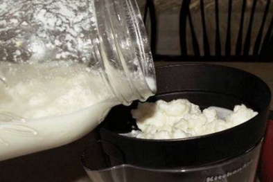 Nấm sữa Tây Tạng chữa bách bệnh chỉ là tin đồn