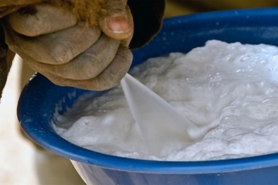 Tiềm ẩn nguy hại vì sữa bò kém chất lượng