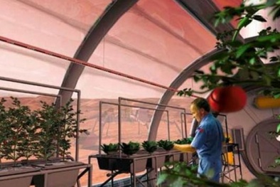 NASA sẽ trồng cây trên sao Hỏa