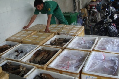 Tràn lan thực phẩm bẩn ngoại nhập