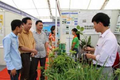 Diễn đàn Doanh nghiệp với ứng dụng và đổi mới công nghệ